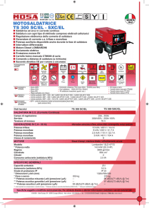 MOTOSALDATRICE TS 300 SC/EL