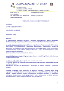 PROGRAMMA FINALE ANNO SCOLASTICO 2013
