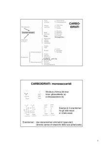 CARBOIDRATI STRUTTURALI - e