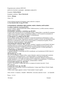 Programma anno scolastico 2009