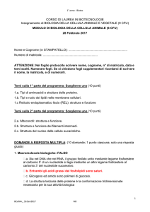 Testo prova Biol Cell Animale del 28 Febbraio con risposte quiz