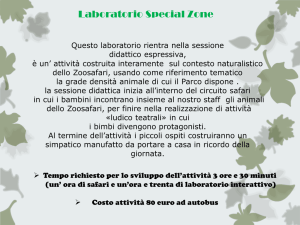 Presentazione standard di PowerPoint