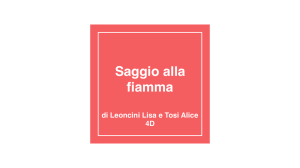 8)Saggio alla fiamma, Tosi e Leoncini