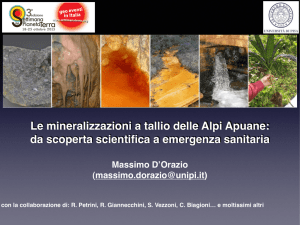 Relazione - Comune di Pietrasanta