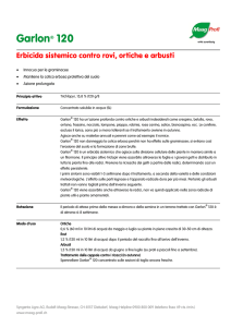 Garlon® 120 - Maag Profi
