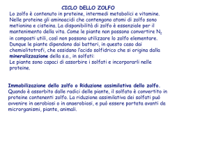 ciclo dello zolfo