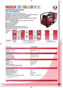 MOTOSALDATRICE TS 200 DES/EL