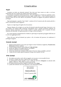 Il tragitto dell`oca