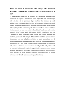 Ruolo dei fattori di trascrizione della famiglia IRF (Interferon