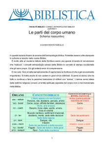 Le parti del corpo umano