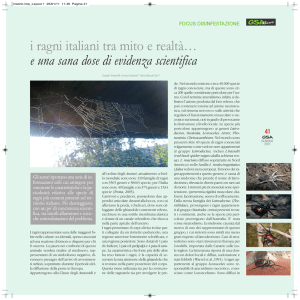 i ragni italiani tra mito e realtà… e una sana dose di evidenza