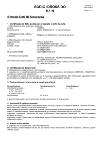SODIO IDROSSIDO 0,1 N