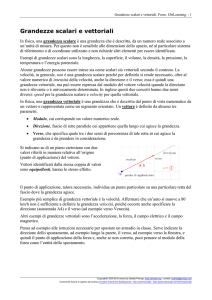 Grandezze vettoriali e scalari: le forze