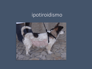 Diapositiva 1 - Progetto e