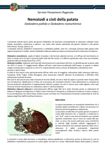 Opuscolo Nematodi a cisti