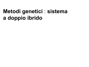 doppio ibrido e variant pdfi - e