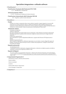 Specialista integrazione e collaudo software