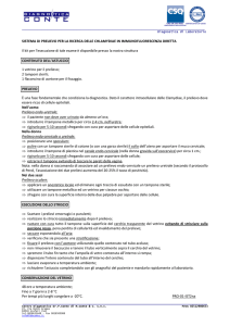 istruzioni di processo per la raccolta