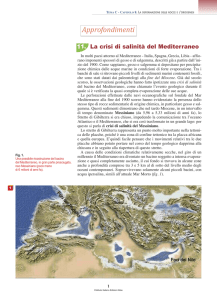 file  - Istituto Italiano Edizioni Atlas