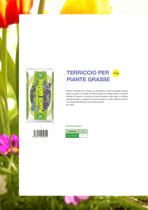 TERRICCIO PER PIANTE GRASSE