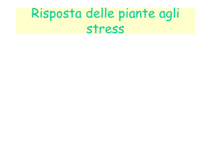lezioni gruppo 15 risposta piante a stress met secondari