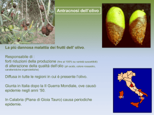 sintomi