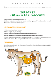 UNA MUCCA CHE RICICLA E CONSERVA