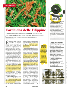 L`orchidea delle Filippine - Radicepura Garden Festival