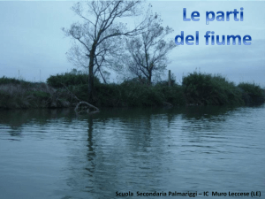 I fiumi - Virtual Science