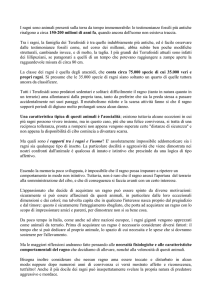 Qui alcune indicazioni sulle principali specie di ragni