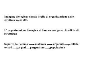 Presentazione di PowerPoint