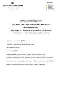 Anatomia funzionale in medicina riabilitativa