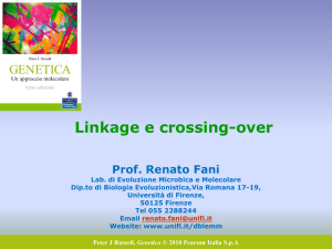 Presentazione di PowerPoint