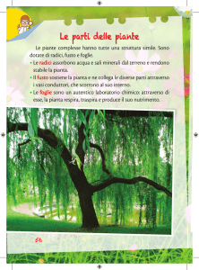 Le parti delle piante