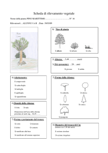 Scheda di rilevamento vegetale