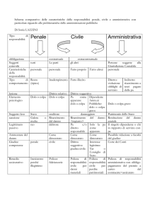 schema responsabilita` penali civili amministrative
