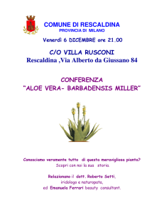 Universita del Benessere 7.... 179 KB