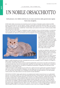 copertina maggio