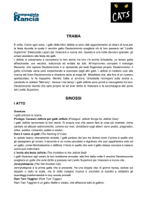 trama sinossi