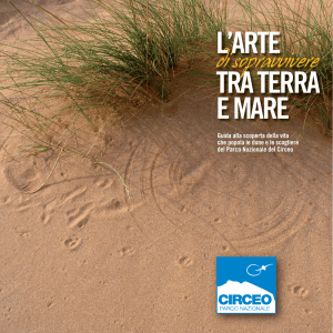 Dune - Parco Nazionale del Circeo