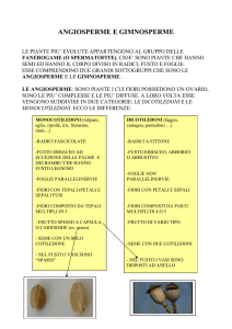 Angiosp.-Gimnosp. - Istituto Comprensivo Lari