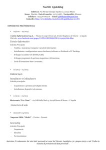 Nertili-Gjokhilaj-Curriculum-Vitae