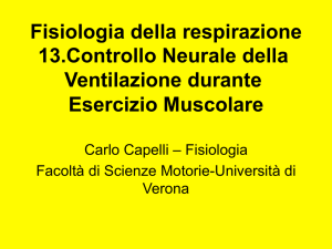 V` E - Carlo Capelli