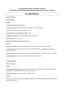 Secondo Biennio - Istituto Scalcerle
