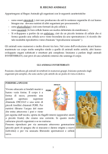 il regno animale
