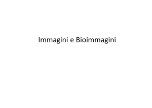 Immagini e Bioimmagini