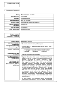 curriculum vitae