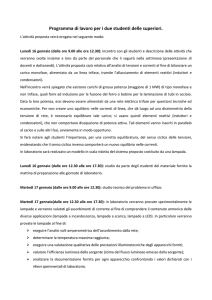 Programma di lavoro per i due studenti delle superiori.