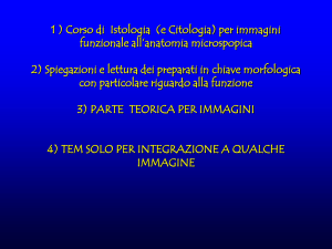 1 ) Corso di Istologia (e Citologia) per immagini funzionale all