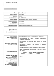 curriculum vitae